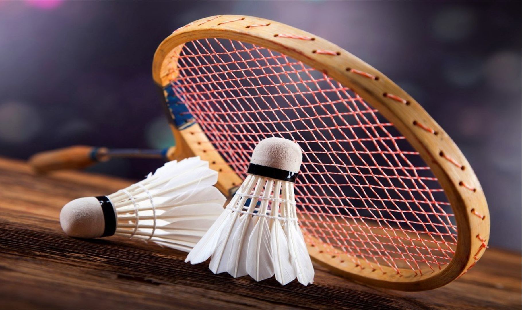 也凸显了林 也凸显了林