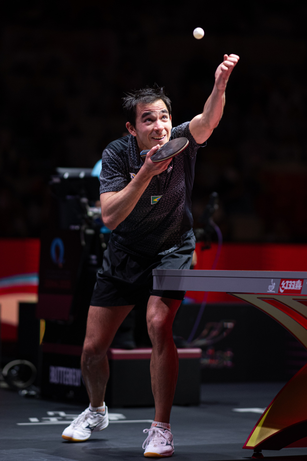 尤其是它对 尤其是它对