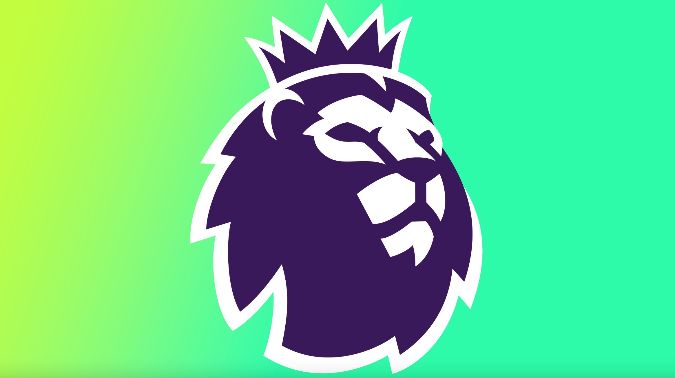 后插肋部的 后插肋部的